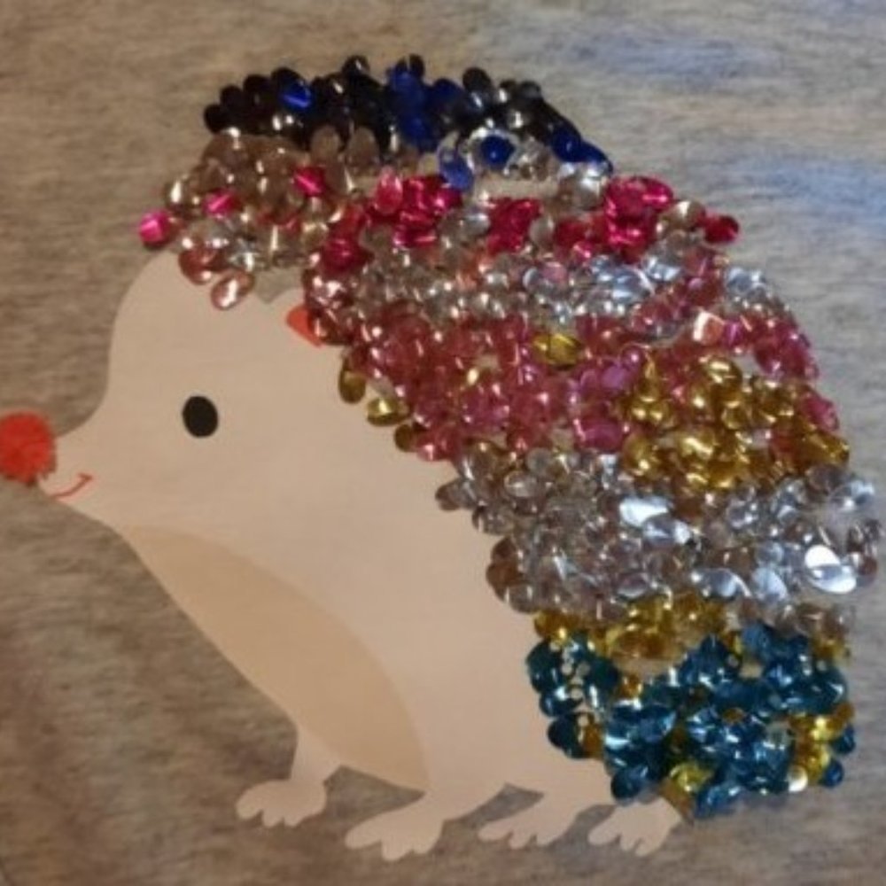 .Hedgehog Girl's Sequin Shirt (Pom pom nose) size 4/5